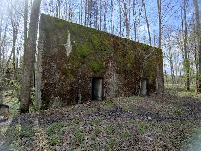 Bunkry w Mamerkach